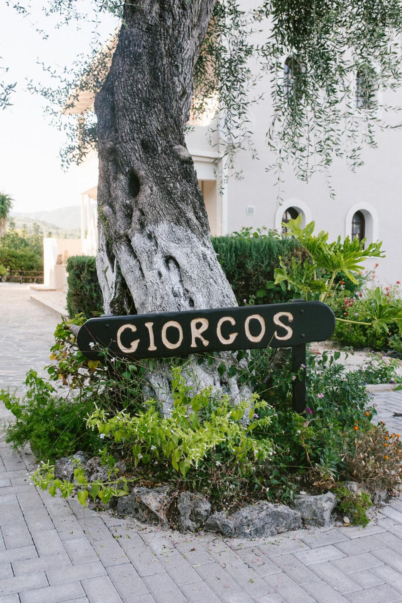 Giorgos Apartments 다시아 외부 사진